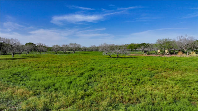 8841 COUNTY ROAD 205, BEEVILLE, TX 78102, photo 4 of 17