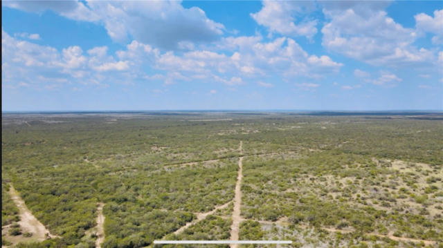 0 COUNTY ROAD 334, SAN DIEGO, TX 78384 - Image 1