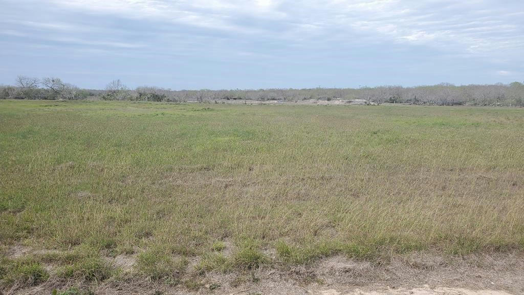 LOT 2 T-HEAD DRIVE, RIVIERA, TX 78379, photo 1