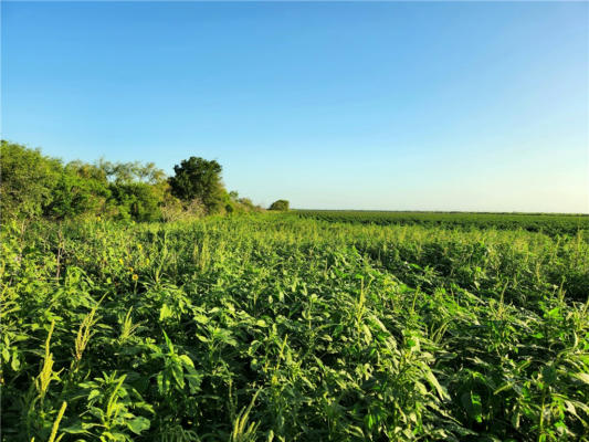 TBD CO. RD 6, BISHOP, TX 78343, photo 3 of 7