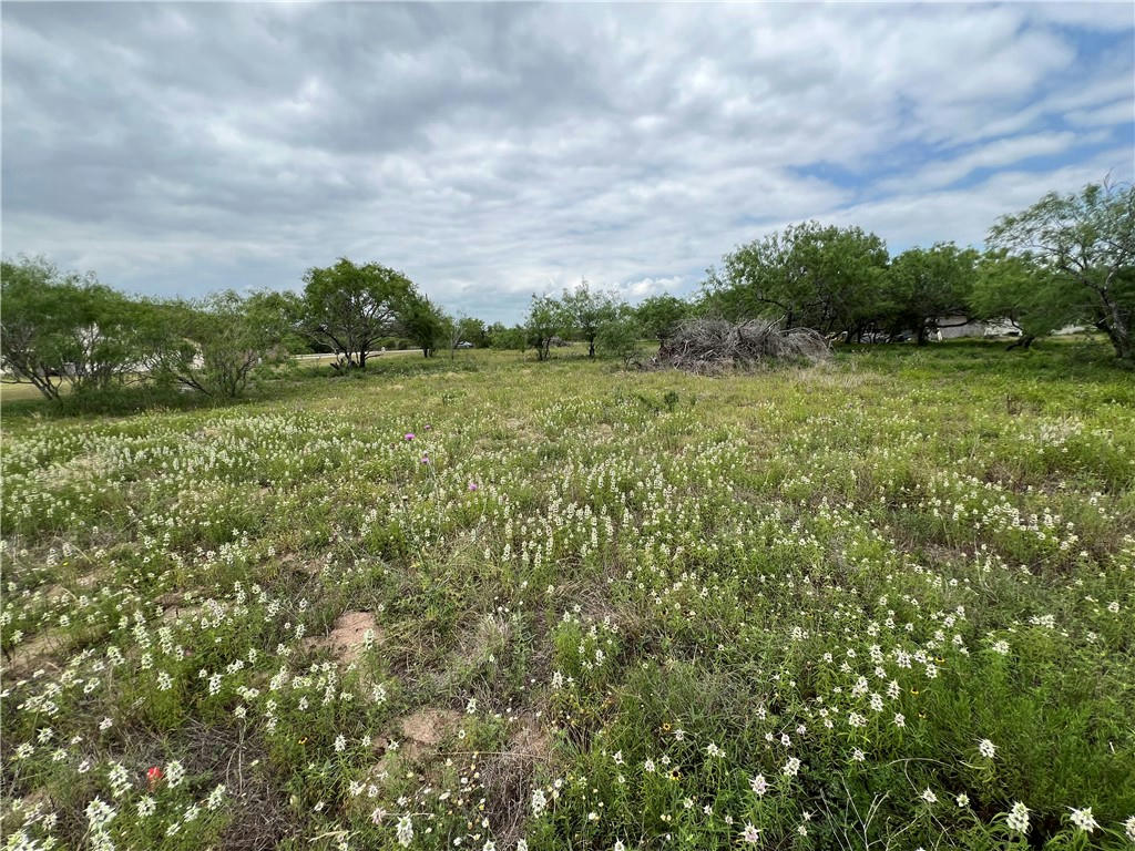 381 W COUNTY ROAD 2140, KINGSVILLE, TX 78363, photo 1 of 9