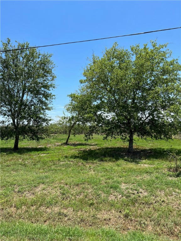 12573 COUNTY ROAD 1272, SINTON, TX 78387, photo 1