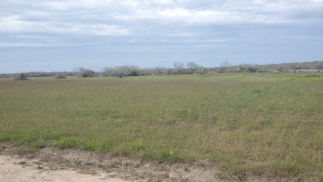 LOT 5 T-HEAD DRIVE, RIVIERA, TX 78379 - Image 1