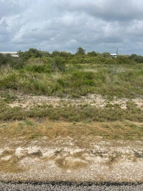 224 W RUSTIC OAK LN, ROCKPORT, TX 78382, photo 1