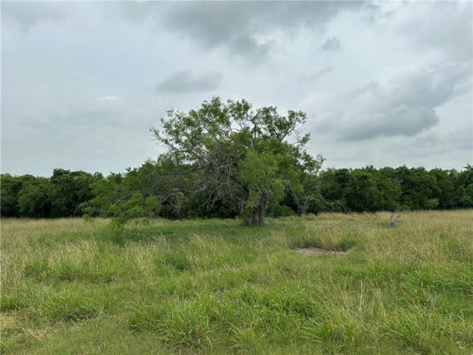 21482 COUNTY ROAD 798, MATHIS, TX 78368, photo 3 of 5