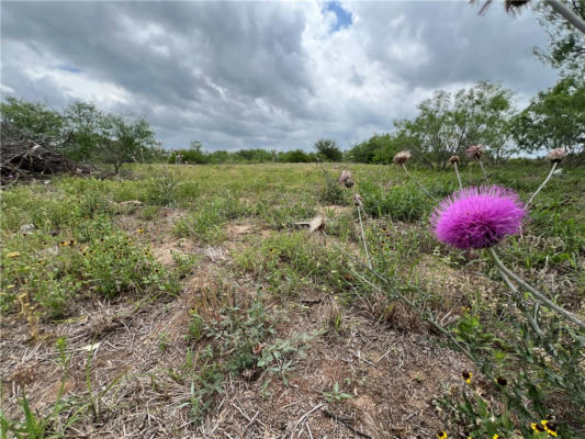 381 W COUNTY ROAD 2140, KINGSVILLE, TX 78363, photo 4 of 9