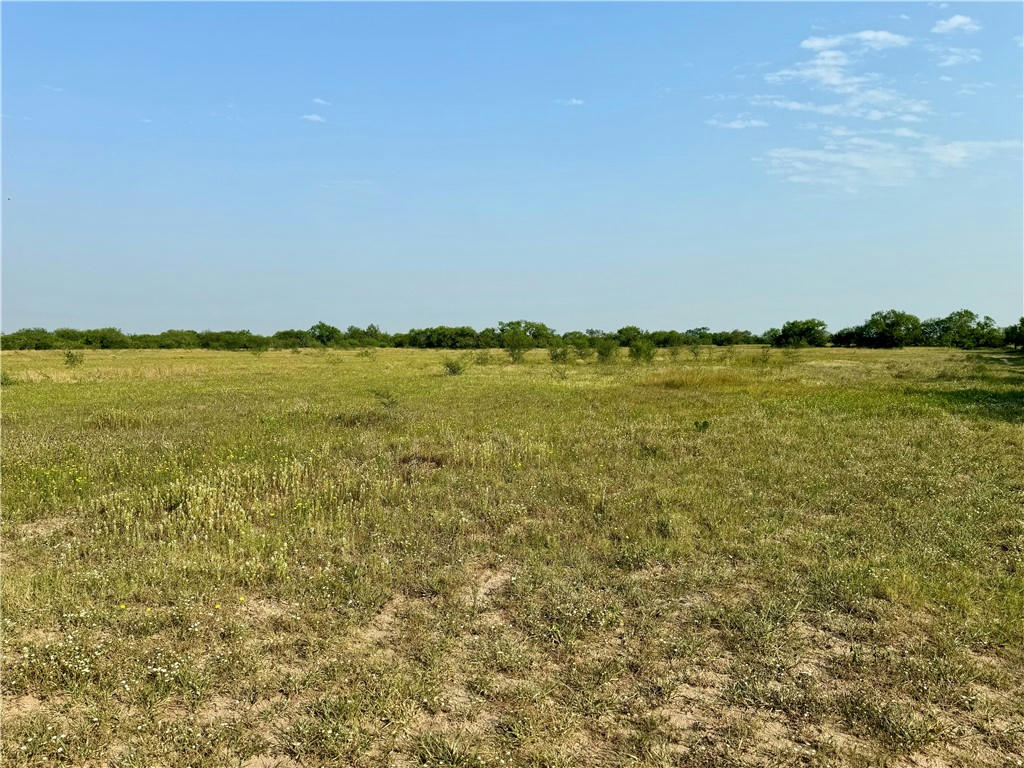 000 COUNTY ROAD 442 # 442, BENBOLT, TX 78332, photo 1 of 3