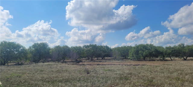 000 FM RD 771, RIVIERA, TX 78379 - Image 1