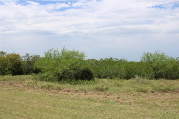 0 LOT 9 VISTA FINA DR., SANDIA, TX 78383, photo 2 of 12