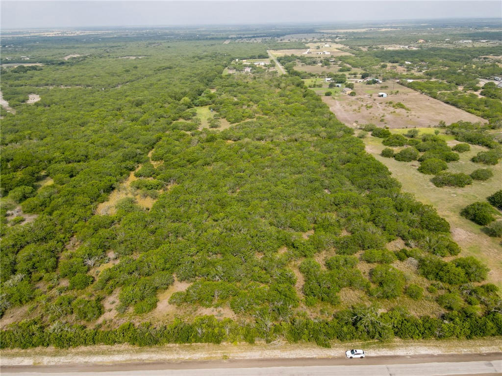 0 COUNTY ROAD 308, ORANGE GROVE, TX 78372, photo 1 of 12