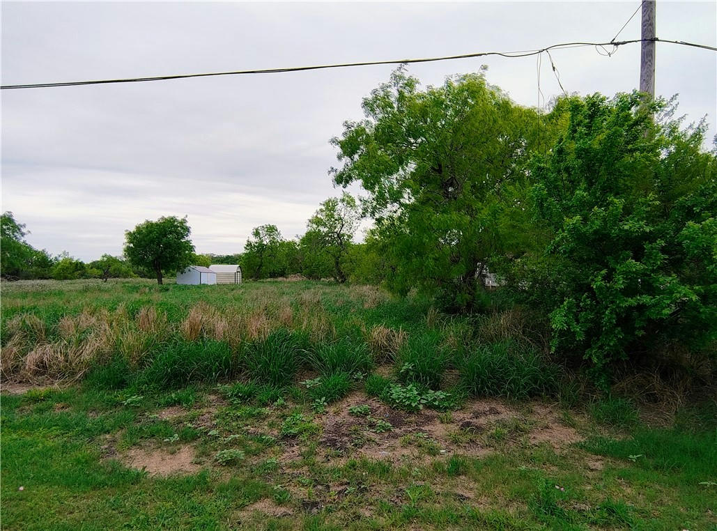 00 GUADALUPE STREET, ALICE, TX 78332, photo 1