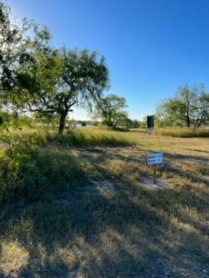 LOT 20 NAKISHWANA CIRCLE # VIII, SANDIA, TX 78383, photo 3 of 6