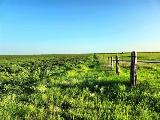 TBD CO. RD 6, BISHOP, TX 78343, photo 2 of 7