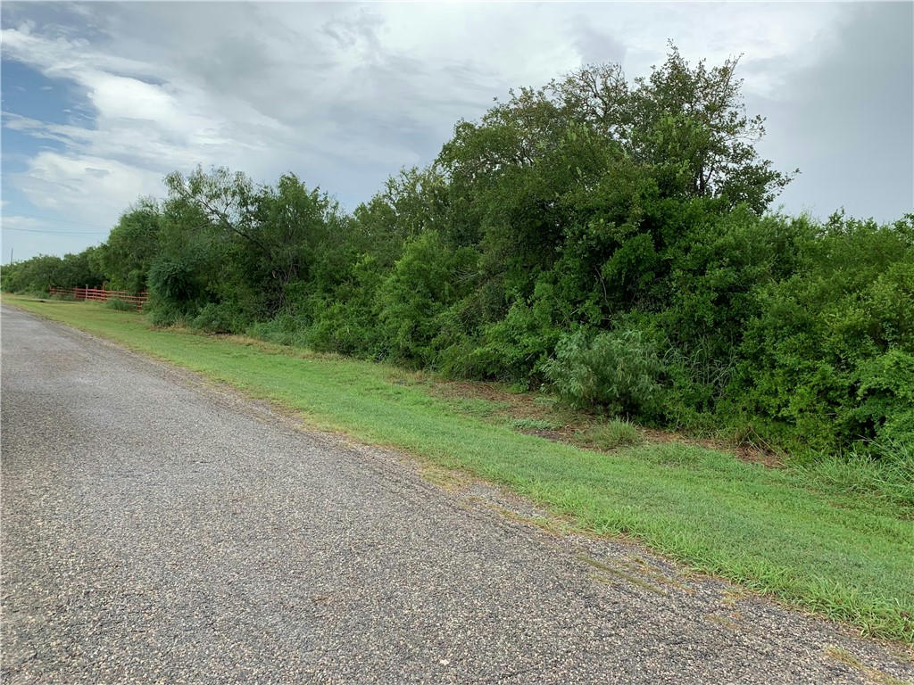 000 MISSION RIVER OAKS ROAD, WOODSBORO, TX 78393, photo 1 of 3