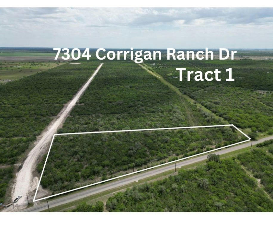 7304 CORRIGAN RANCH DRIVE- TRACT 1, SKIDMORE, TX 78389, photo 1 of 4