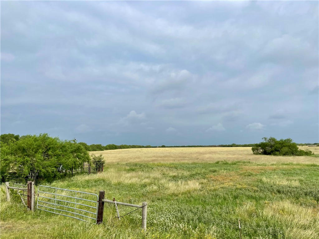 0 COUNTY ROAD 333, BEEVILLE, TX 78102, photo 1 of 19