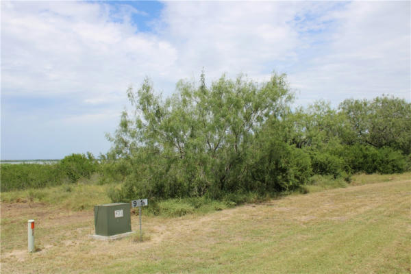 0 LOT 9 VISTA FINA DR., SANDIA, TX 78383, photo 3 of 12