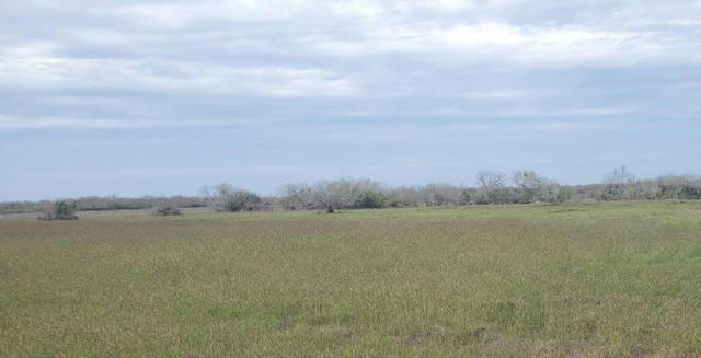 LOT 6 T-HEAD DRIVE, RIVIERA, TX 78379 - Image 1