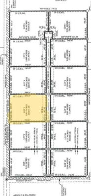 0 LOT 3 (5 ACRES) ON CR 116-2, ALICE, TX 78332, photo 2 of 4