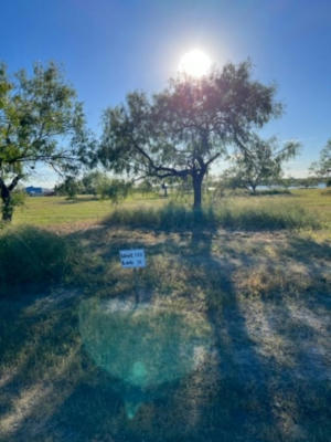 LOT 20 NAKISHWANA CIRCLE # VIII, SANDIA, TX 78383, photo 2 of 6