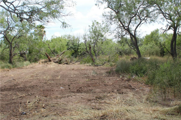 0000 LAKE TERRACE DRIVE, MATHIS, TX 78368, photo 2 of 6