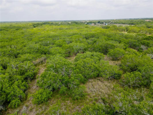 0 COUNTY ROAD 308, ORANGE GROVE, TX 78372, photo 2 of 12