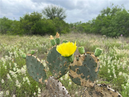 381 W COUNTY ROAD 2140, KINGSVILLE, TX 78363, photo 3 of 9