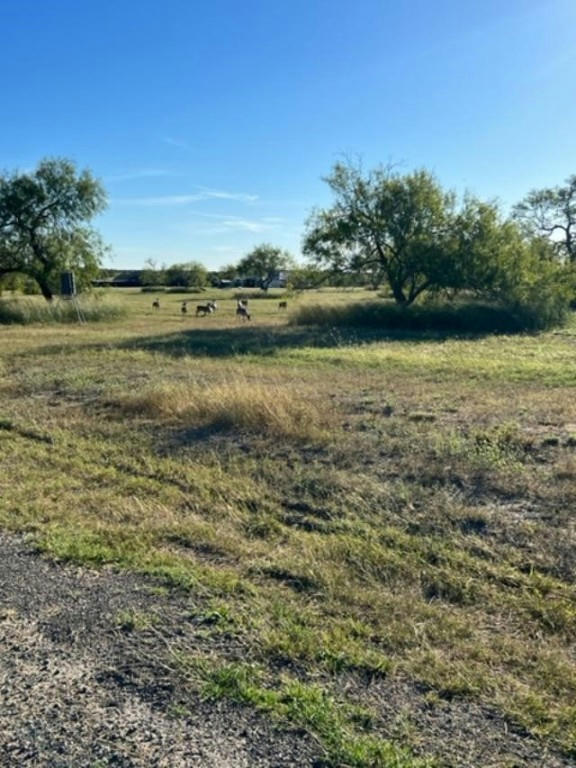 LOT 20 NAKISHWANA CIRCLE # VIII, SANDIA, TX 78383, photo 1 of 6